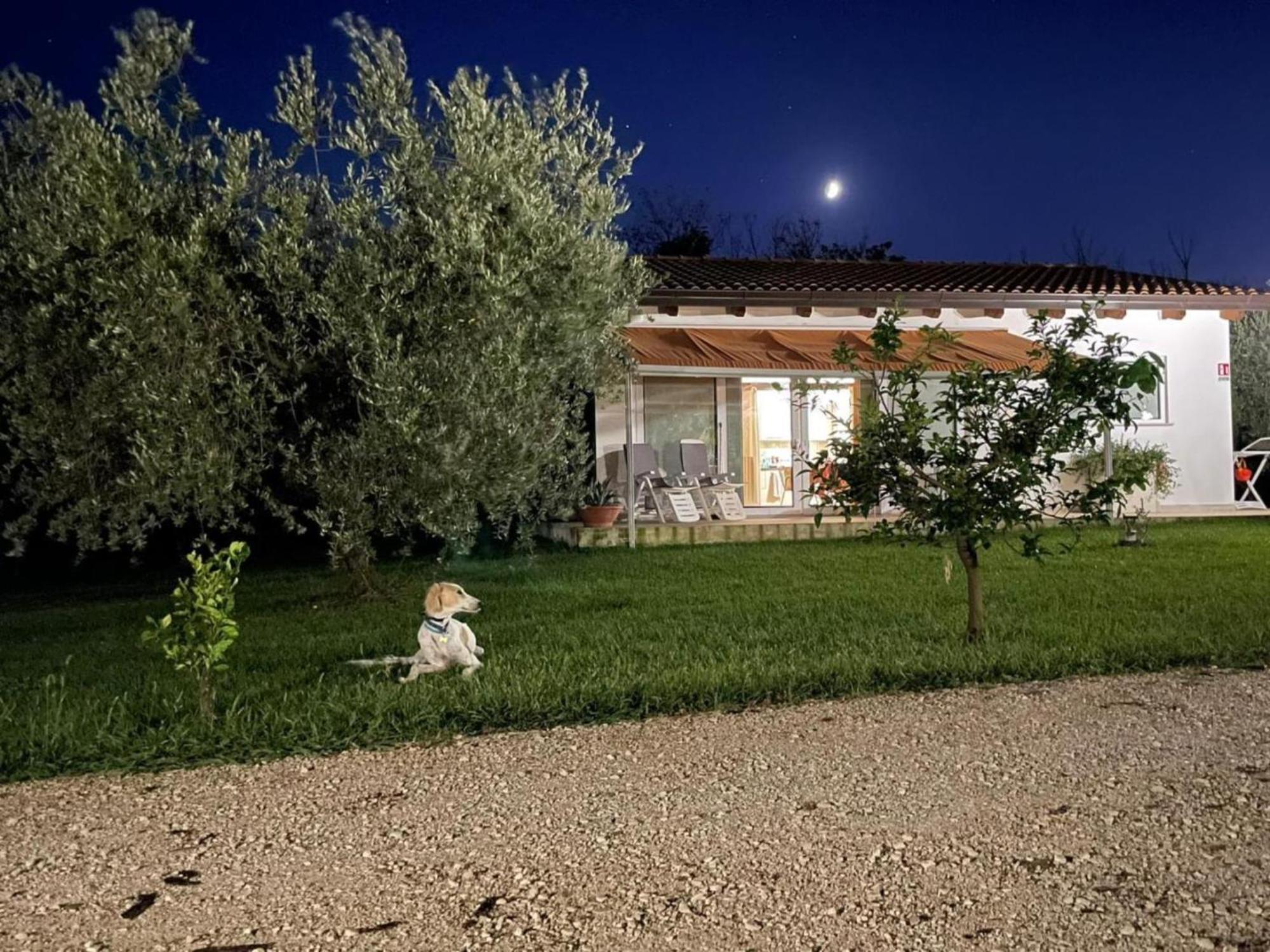 Villetta Bianca Pisticci-Matera Exterior photo